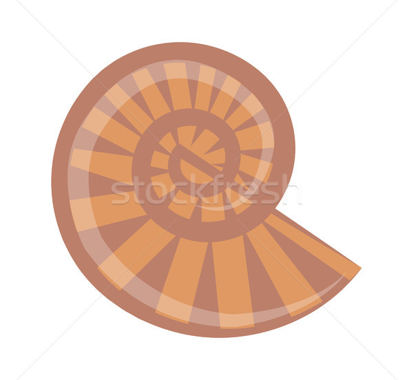 Stock photo: Spiral Striped Shell Isolated Cartoon Illustration