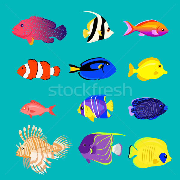 Stock photo: Set of Sea Fish Color Design Flat