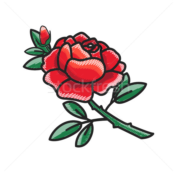 Closeup of Rose with Petals Vector Illustration Stock photo © robuart