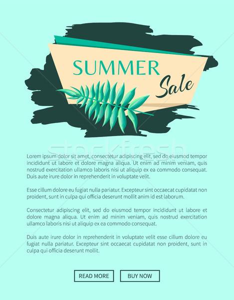 Summer Sale Emblem with Exotic Tree Leaf on Stroke Stock photo © robuart