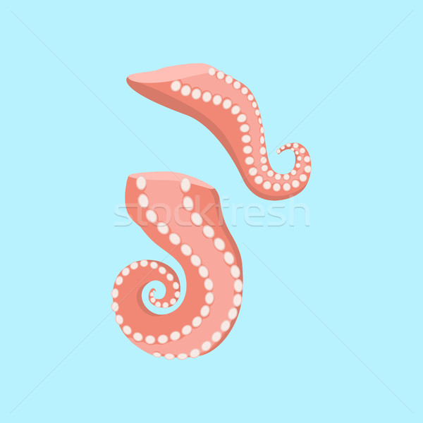 Sliced Octopus Tentacles Variations Illustration Stock photo © robuart