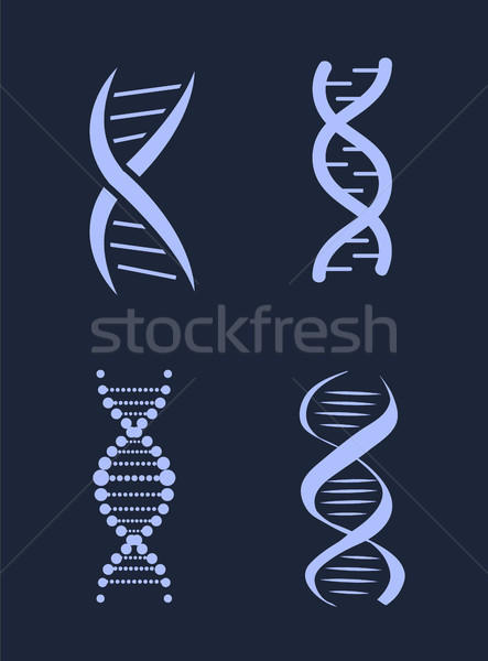 Stock photo: DNA Deoxyribonucleic Acid Chains Set, Nucleotide