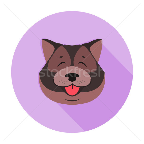 Doggy Head of Tibetan Mastiff Close-up Funny Style Stock photo © robuart