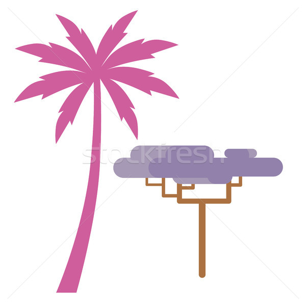 Pink Palm and Violet Exotic Tree Isolated on White Stock photo © robuart