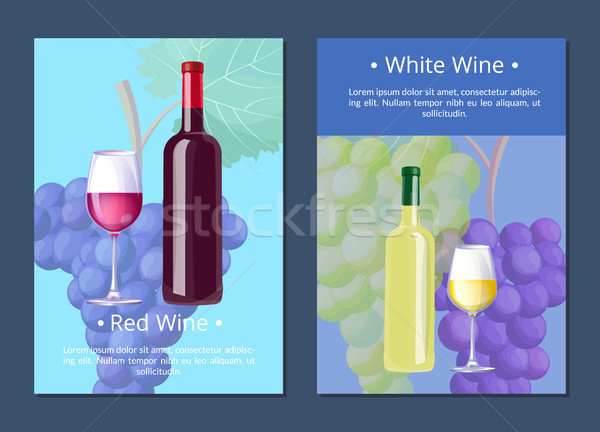 Vinho branco cartaz texto amostra forma explicação Foto stock © robuart