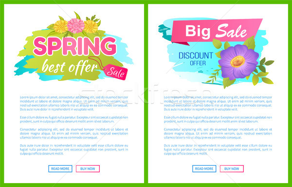 Stock photo: Best Offer Spring Sale Advertisement Daisy Flowers