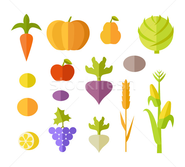 Set of Fruits & Vegetables Vector Illustration.   Stock photo © robuart
