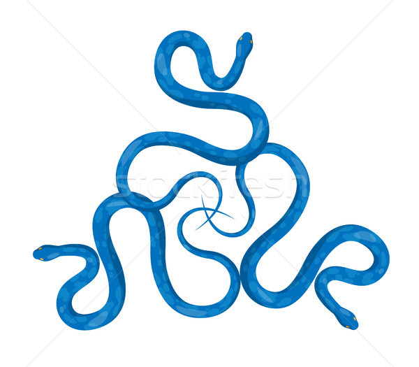 Trois bleu serpents cartoon style [[stock_photo]] © robuart