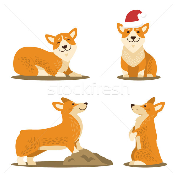 Corgi Dog Set of Four Pictures Vector Illustration Stock photo © robuart