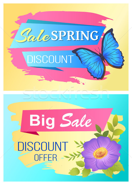 Frühling Verkauf Plakat Ermäßigung Farbe Schmetterling Stock foto © robuart