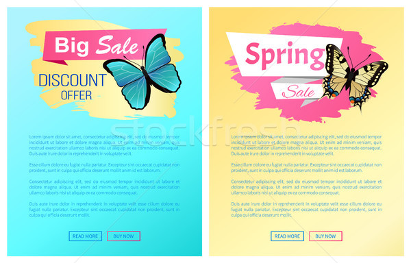Spring Sale Label Butterflies Online Posters Text Stock photo © robuart