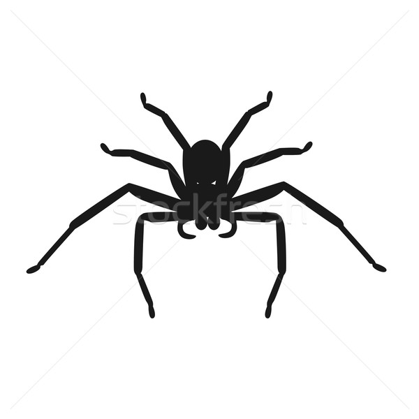 Spider Icon Vector Stock photo © robuart