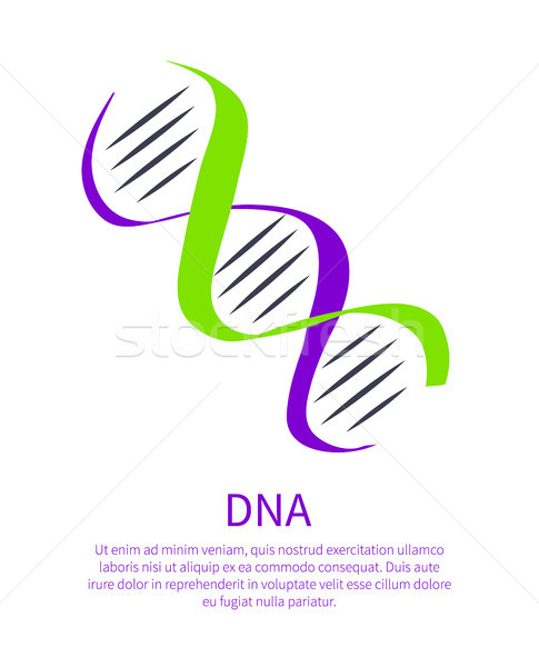 Dna ícone genético código ácido pessoal Foto stock © robuart