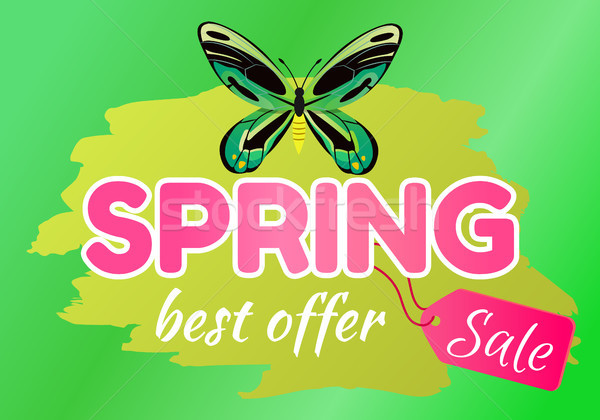 Spring Best Offer Sale Sticker of Green Dragonfly Stock photo © robuart
