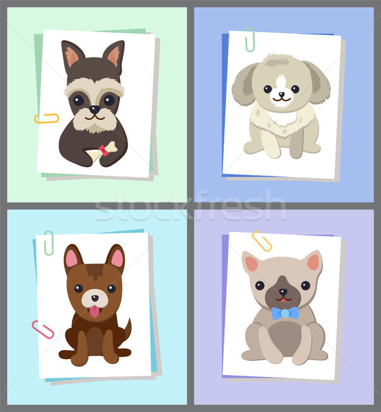 Puppies and Dogs Poster Set Vector Illustration Stock photo © robuart