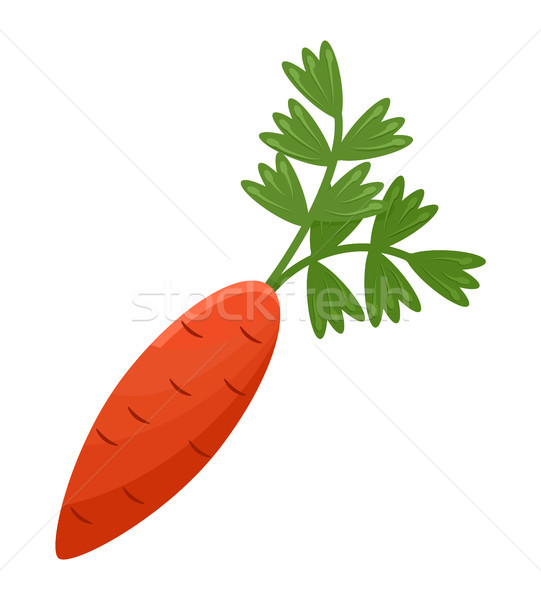 Cartoon Carrot Icon Isolated on White Background Stock photo © robuart