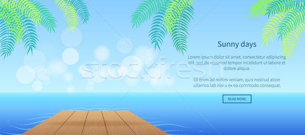 Besten Sommerzeit Party promo Plakat Palmen Stock foto © robuart