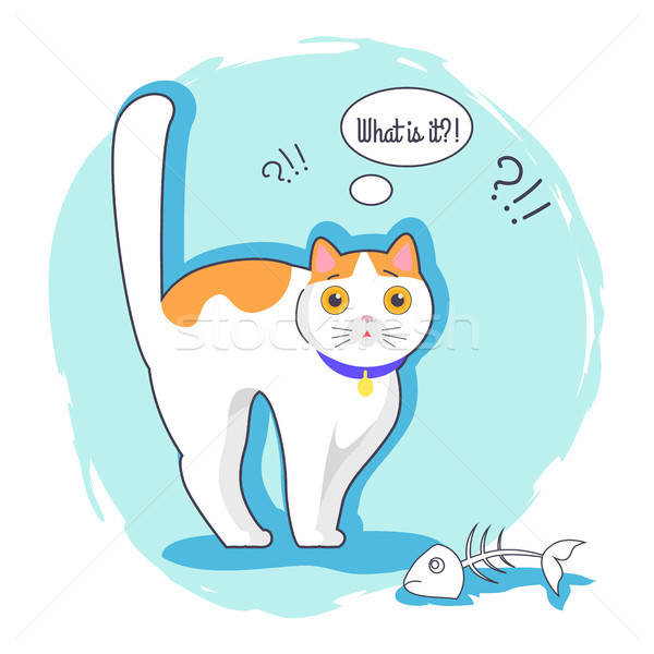 что удивленный котенка белый кошки оранжевый Сток-фото © robuart