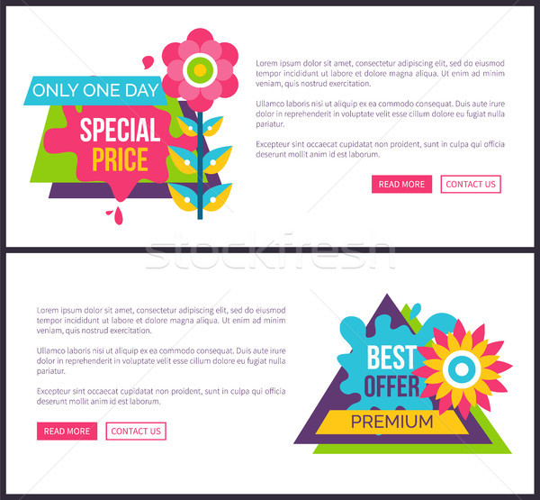 Internet Page Set Special Promotion Price Off Sale Stock photo © robuart