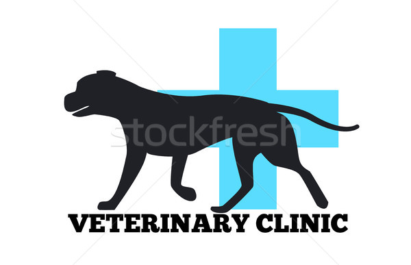 Stockfoto: Veeartsenijkundig · kliniek · hond · zwarte · silhouet · Blauw