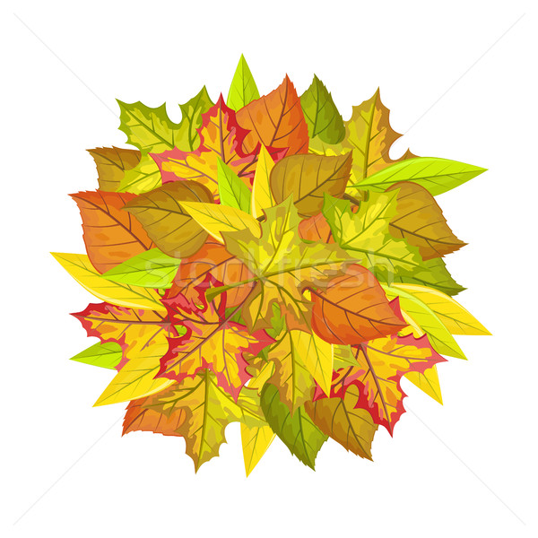 Foto stock: Hojas · de · otoño · vector · diseno · pelota · hojas