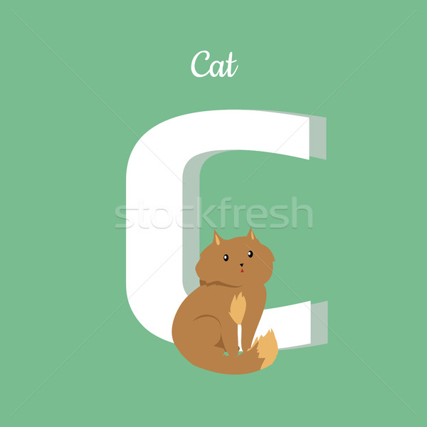 Cat with Letter C Isolated. Domestic Kitten. ABC Stock photo © robuart
