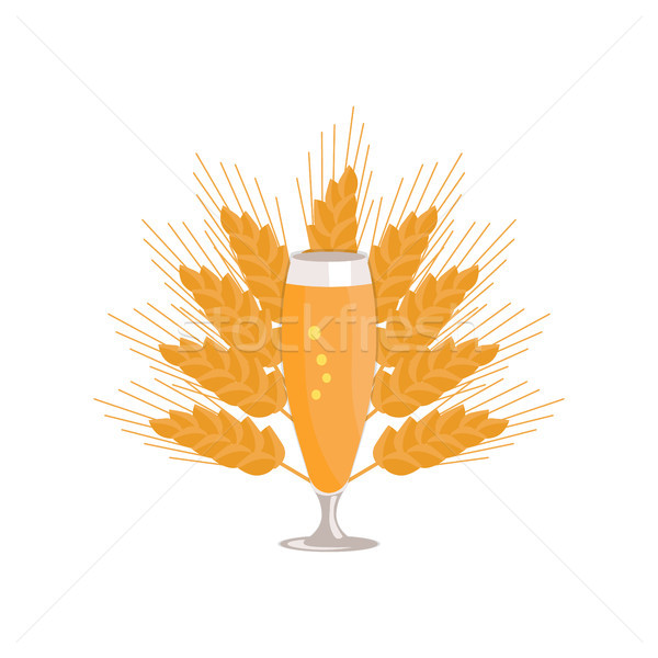 стекла пива изолированный белый ушки пшеницы Сток-фото © robuart