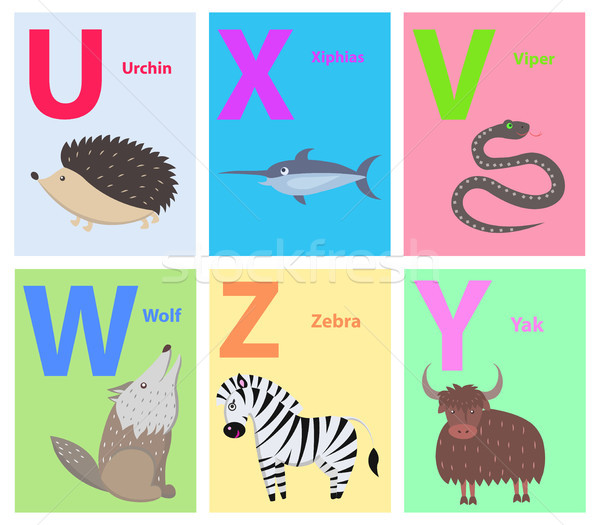 Alphabet Letters U, X, V, W, Z, Y Set with Animal Stock photo © robuart