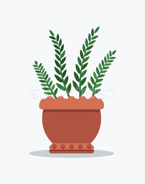 商業照片: 迷迭香 · 花盆 · 植物 · 綠色 · 顏色 · 葉