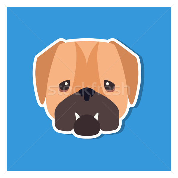 Dolorous Muzzle of English Bulldog Drawn Art Icon Stock photo © robuart