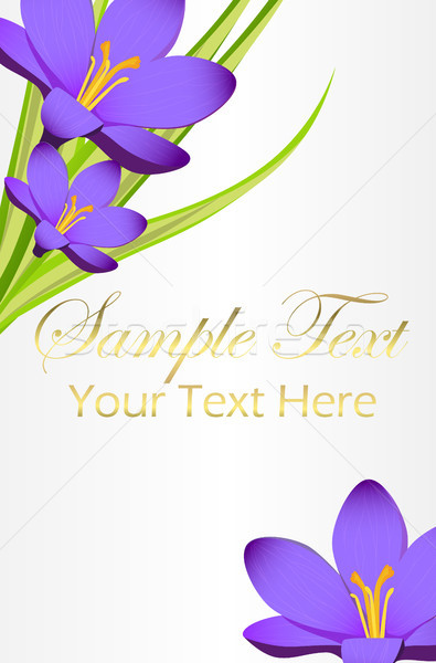 Card with blue bell flowers and space for your wish Stock photo © robuart