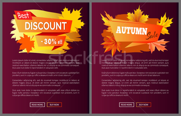 Discounts Offer Special Price Invitation Vouchers Stock photo © robuart