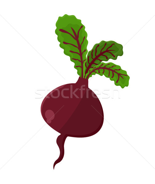 Foto stock: Remolacha · vegetales · producto · comida · vegetariana · planta · hojas