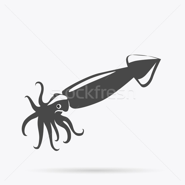Tintenfisch monochrome Farbe Design schwarz isoliert Stock foto © robuart