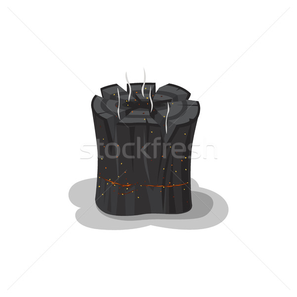 Foc negru izolat alb bucata lemn Imagine de stoc © robuart