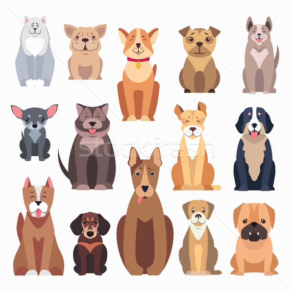 Different Kinds of Dog Breeds on White Background Stock photo © robuart