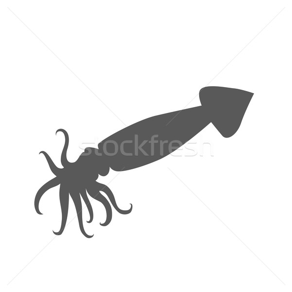 Calamar monocromo color diseno negro aislado Foto stock © robuart
