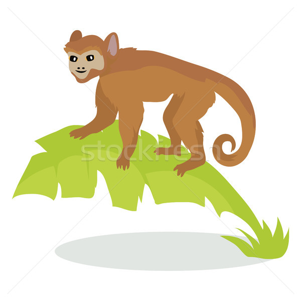 Monkey Cartoon Icon in Flat Design Stock photo © robuart