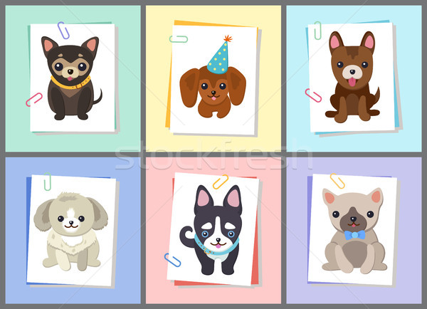 Puppies and Dogs Poster Set Vector Illustration Stock photo © robuart