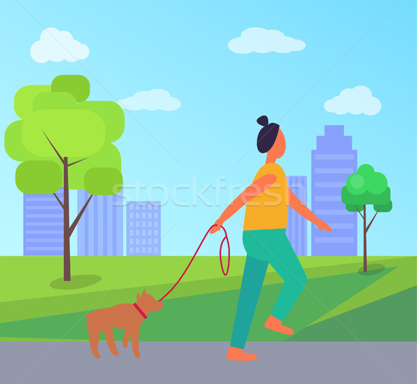 Woman with Dog in Park Vector Illustration Stock photo © robuart