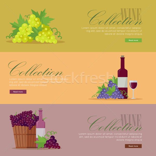 Conjunto elite vinho pôsteres Foto stock © robuart