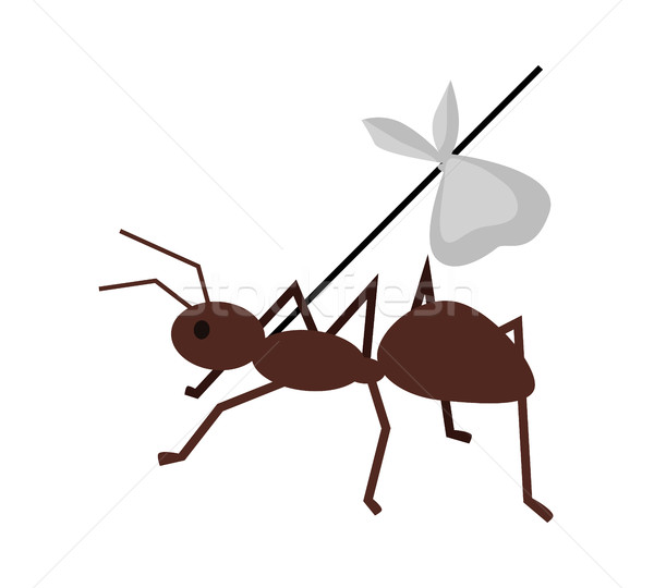 Ant Carrying Her Baggage on Branch Stock photo © robuart