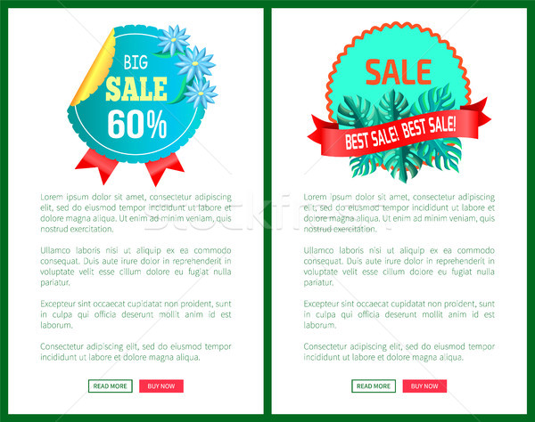 Total Big Sale Best Promo Emblems Palm Leaves Set Stock photo © robuart