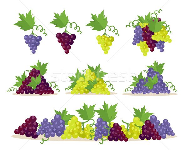 Coleção uvas fruto vinho diferente Foto stock © robuart