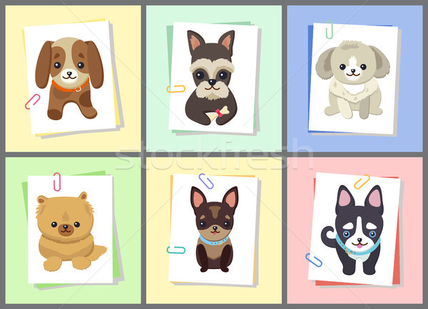 Puppies and Dogs Poster Set Vector Illustration Stock photo © robuart