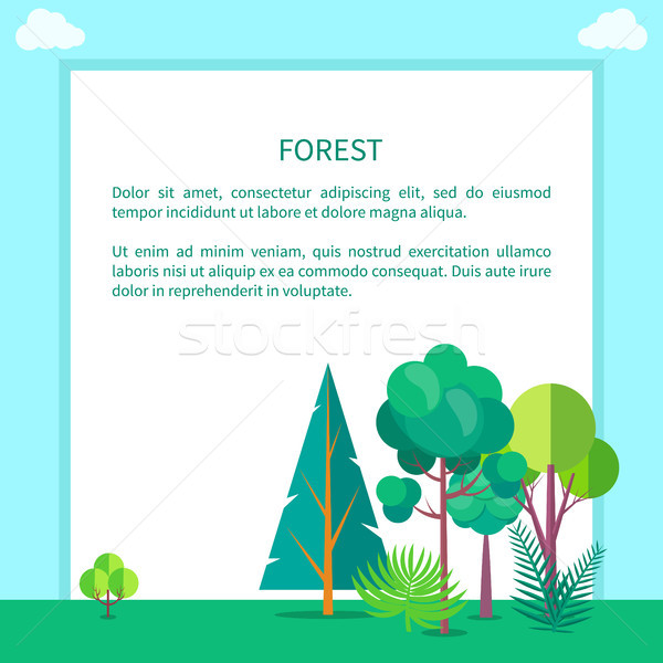 лес вектора веб баннер деревья Сток-фото © robuart
