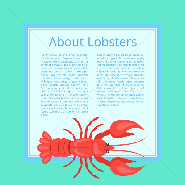 About Lobsters Vector Illustration on Azure Color Stock photo © robuart