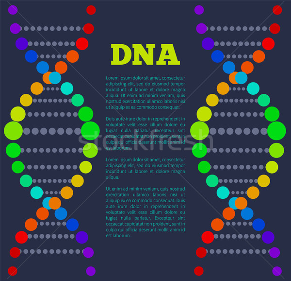 DNA asit zincir poster renkli imzalamak Stok fotoğraf © robuart