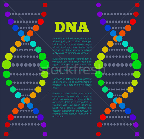 Foto d'archivio: Dna · acido · catena · poster · colorato · segno