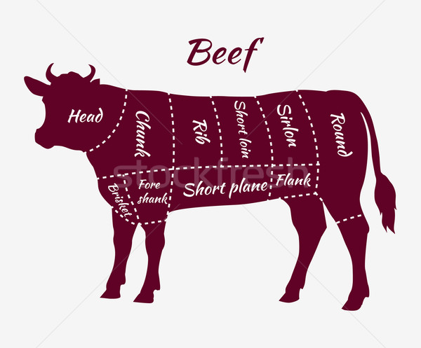 Scheme of Beef Cuts for Steak and Roast Stock photo © robuart